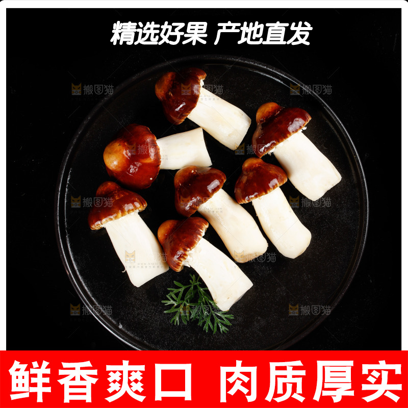 黑底上放着赤茸菇