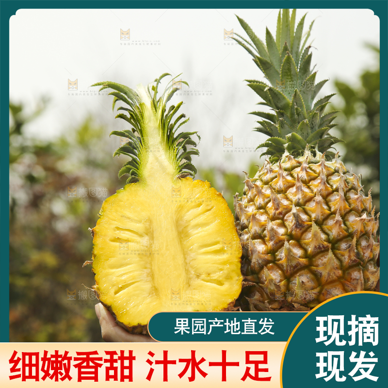 手里拿着菠萝