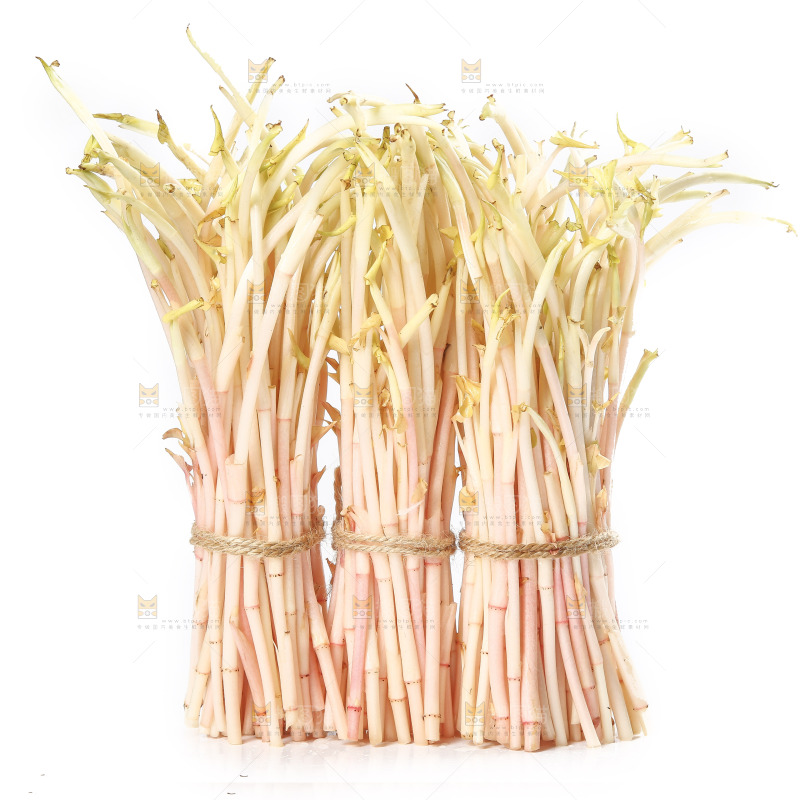 白底上的鱼腥草嫩芽