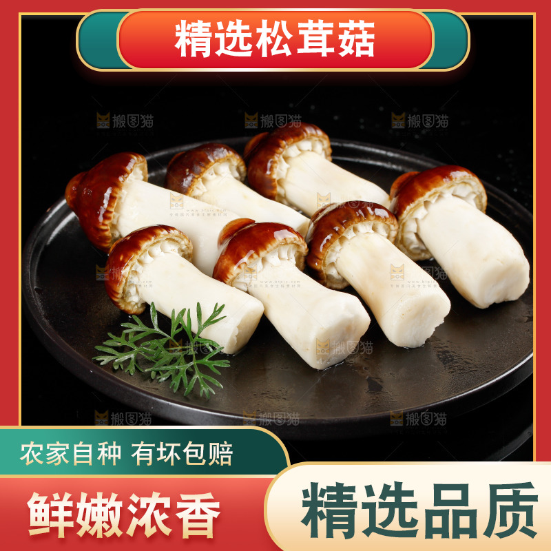黑底上放着一盘赤松茸