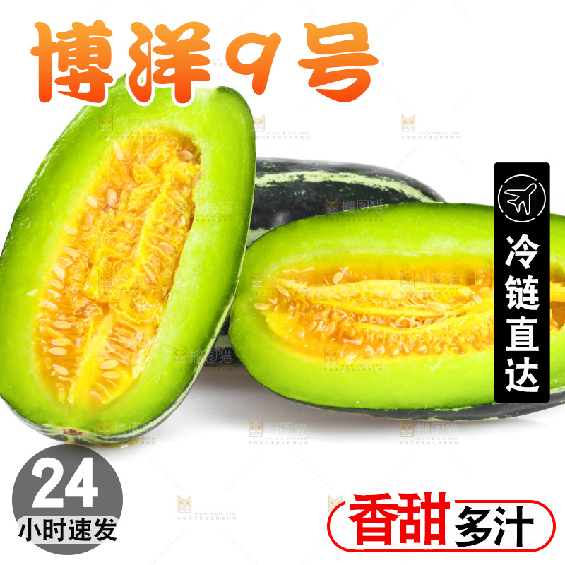 白底上摆放着博洋9号甜瓜