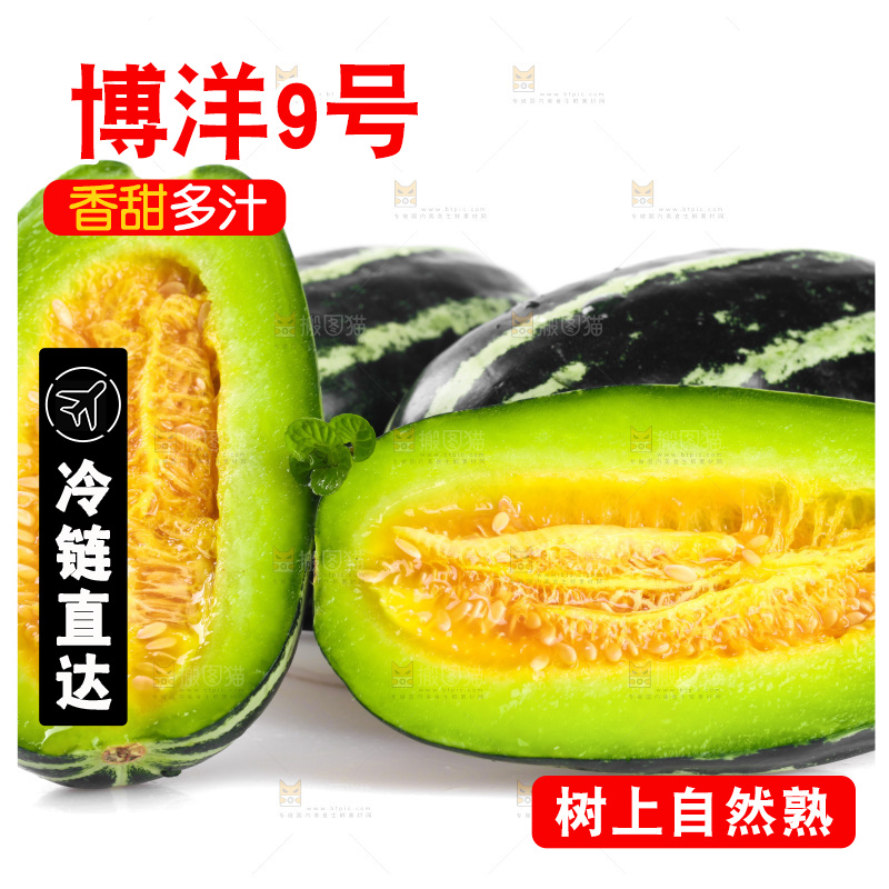 一堆新鲜博洋9号