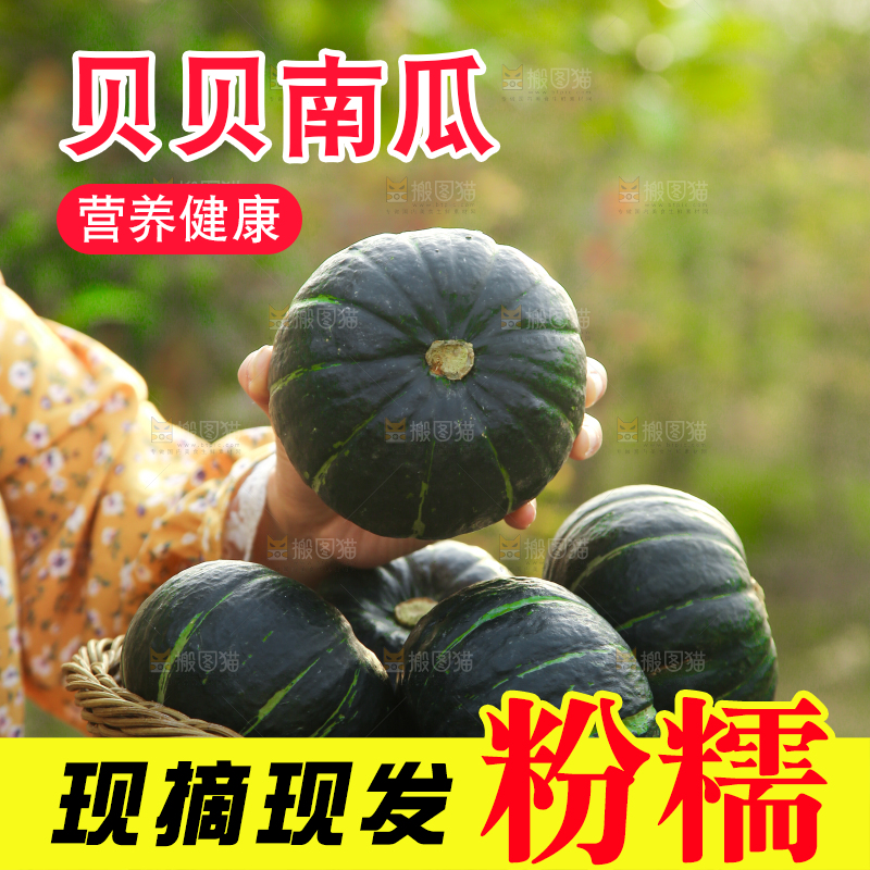 手里端着一篮贝贝南瓜