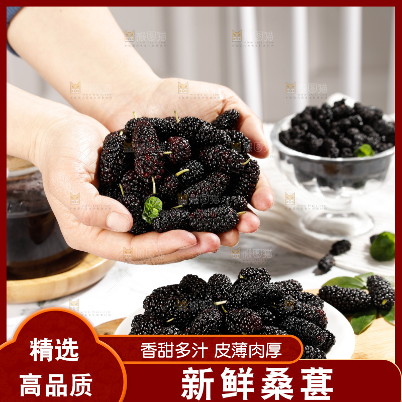 手里捧着桑葚果