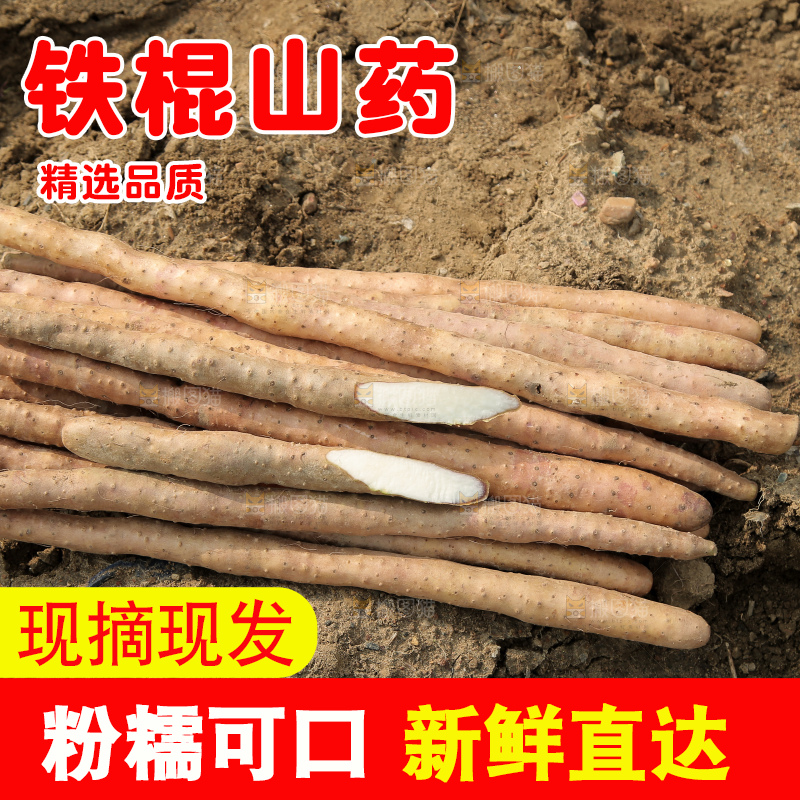 一堆铁棍山药