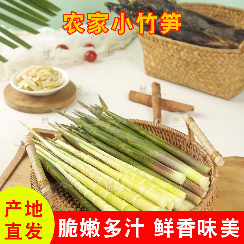 一篮野生小竹笋