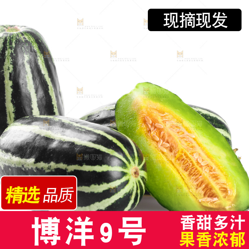 一堆博洋9号甜瓜