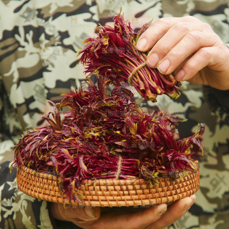 手里端着一篮红油香椿芽