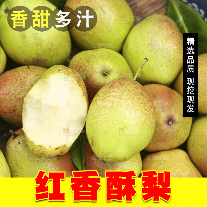 一篮香酥梨