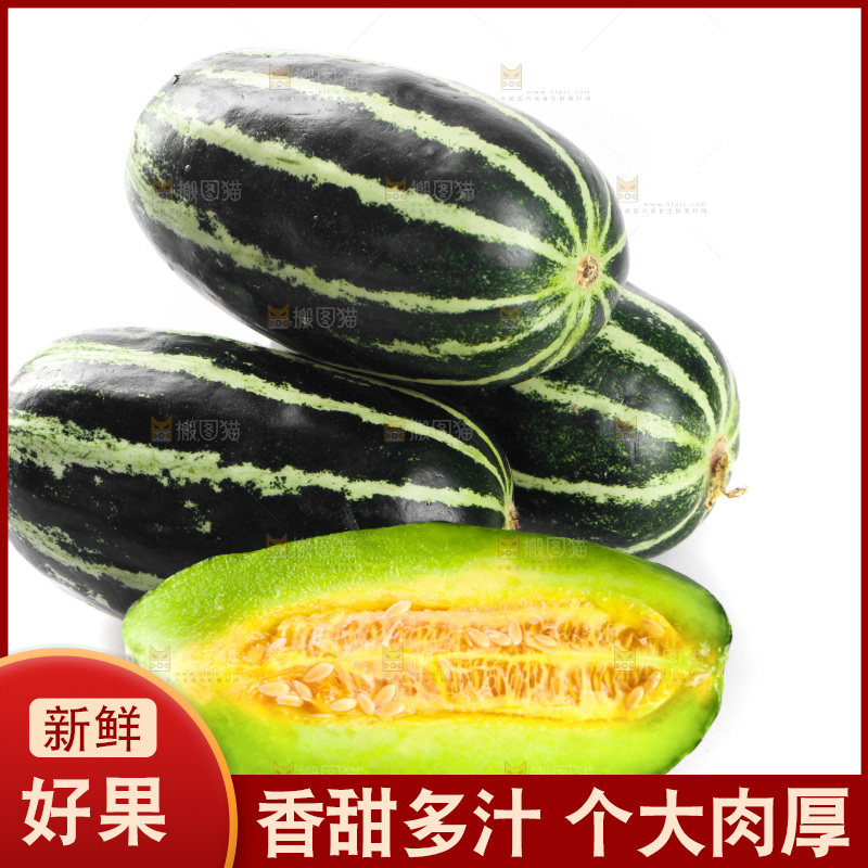 一堆博洋9号甜瓜