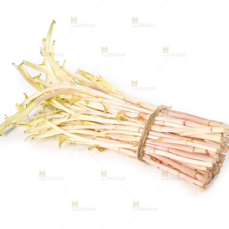 白底上的鱼腥草嫩芽