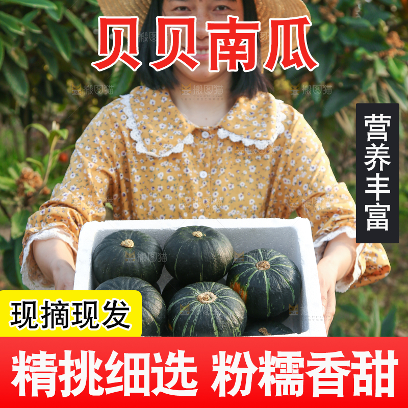 一箱贝贝小南瓜