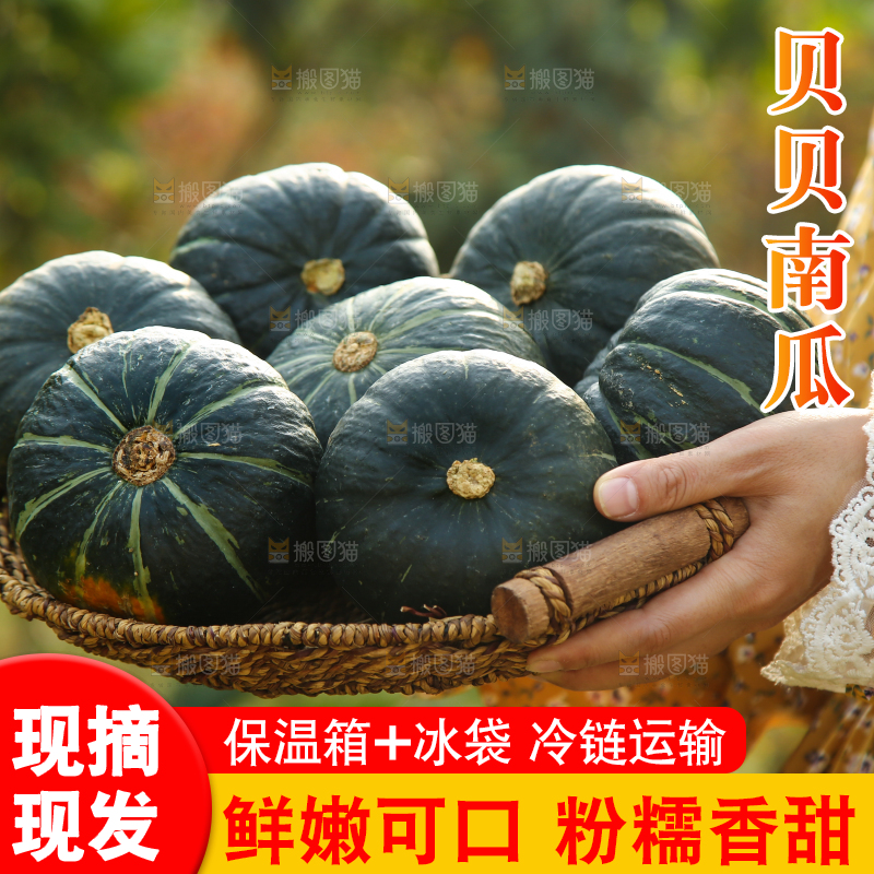 手里端着一篮贝贝南瓜