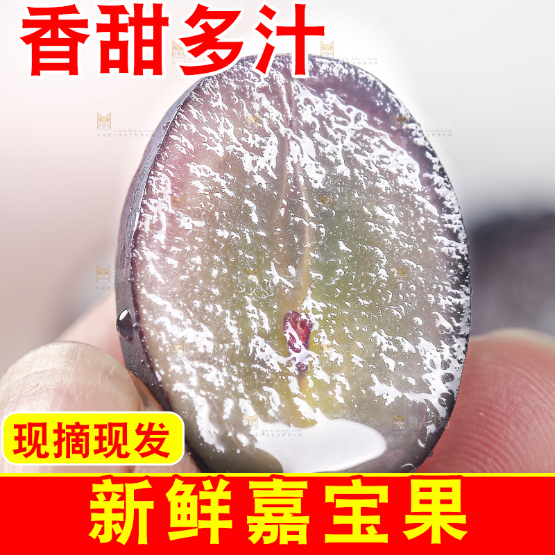 手里拿着树葡萄