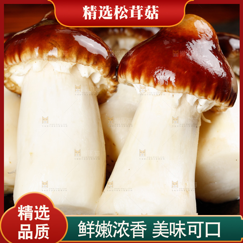一盘姬松茸