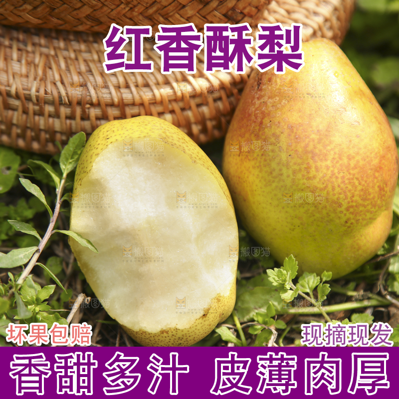 草地上的红酥梨