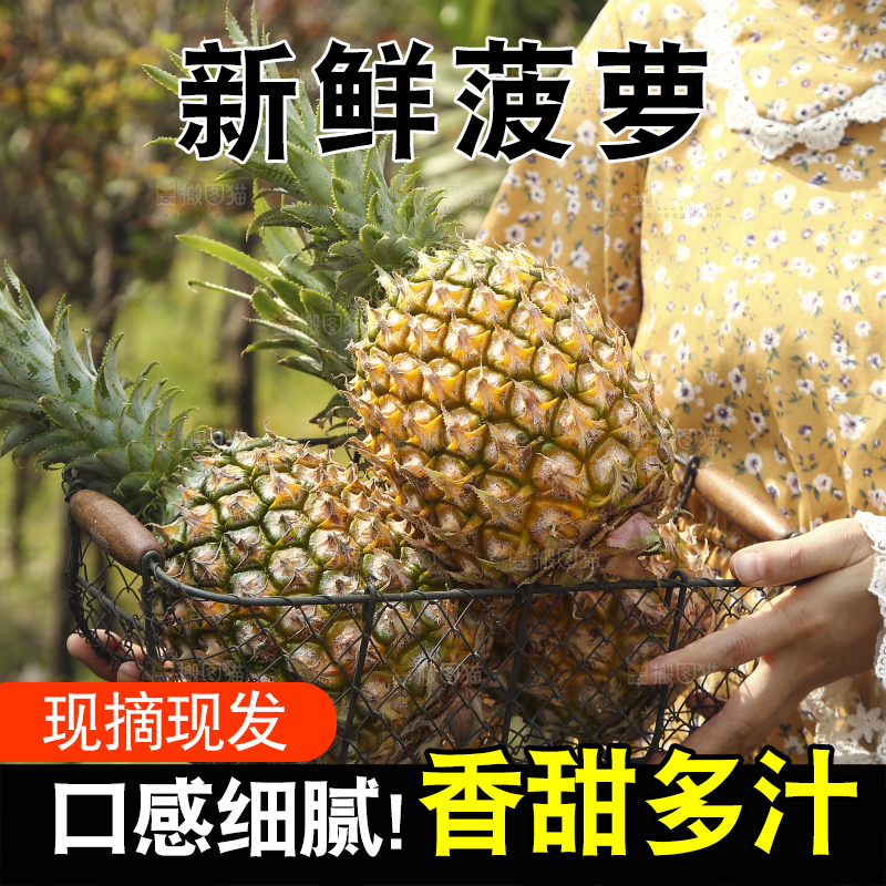 手里端着一篮香水菠萝