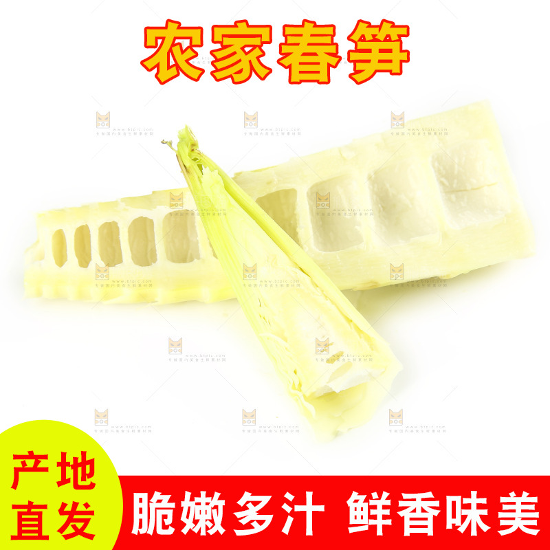 白底上的竹笋