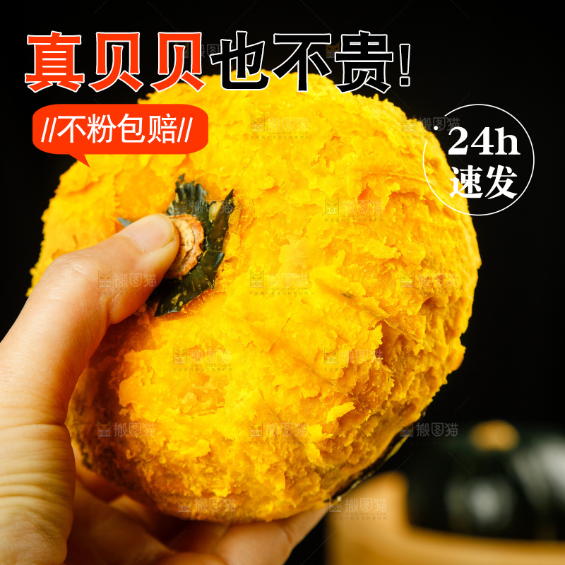 手里拿着贝贝南瓜
