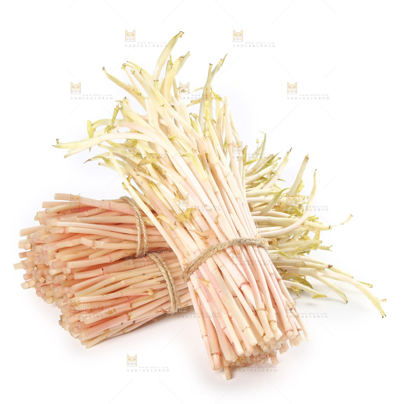 白底上的鱼腥草嫩芽