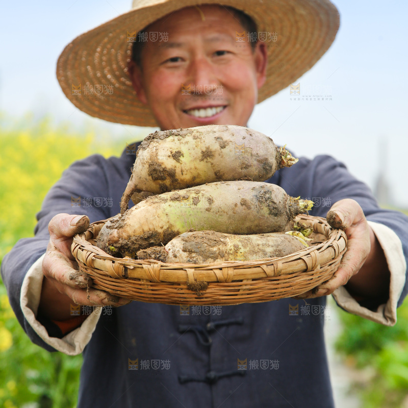 手里端着一篮冰激凌水果萝卜