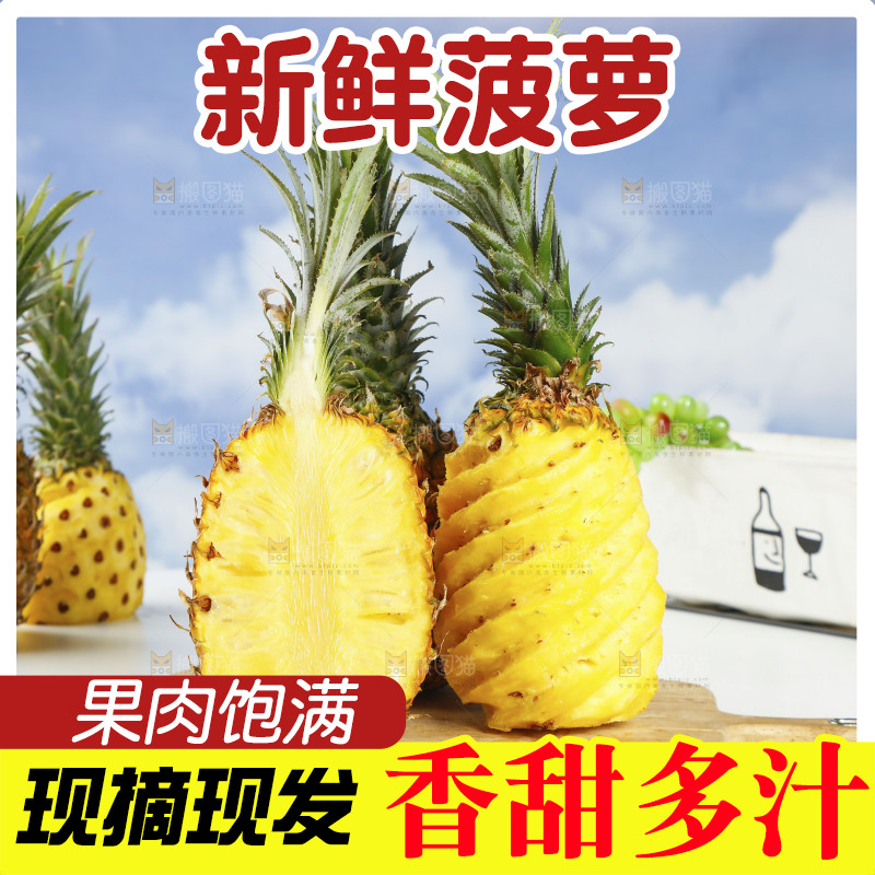 木底上的广东徐闻菠萝
