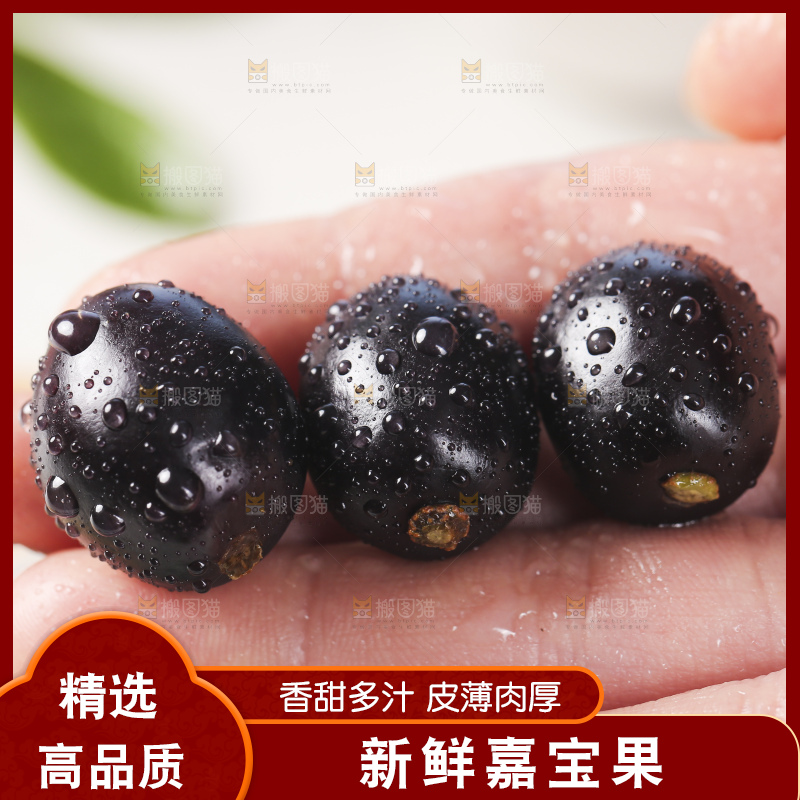 手里拿着树葡萄