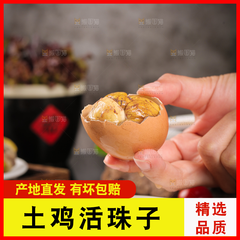 手里拿着凤凰蛋