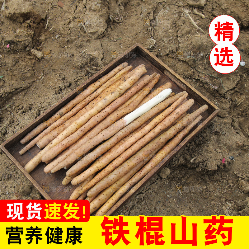 一盘垆土铁棍山药