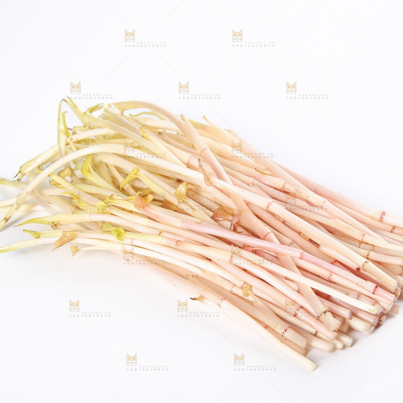 白底上的鱼腥草嫩芽