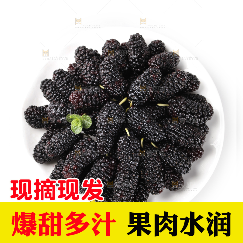 一盘桑葚