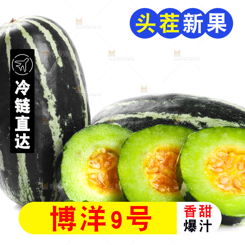 白底上放着一堆博洋9号甜瓜