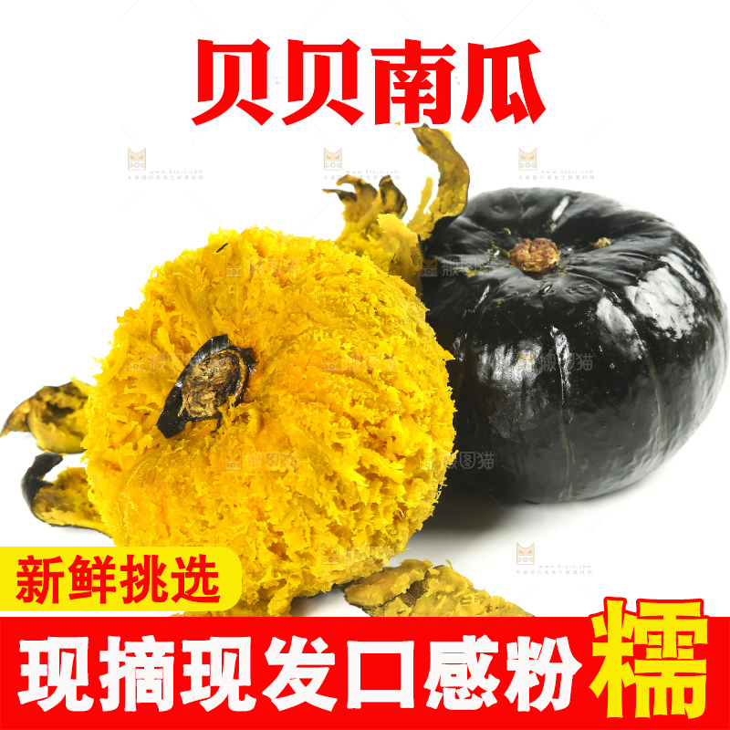 白底上的贝贝小南瓜