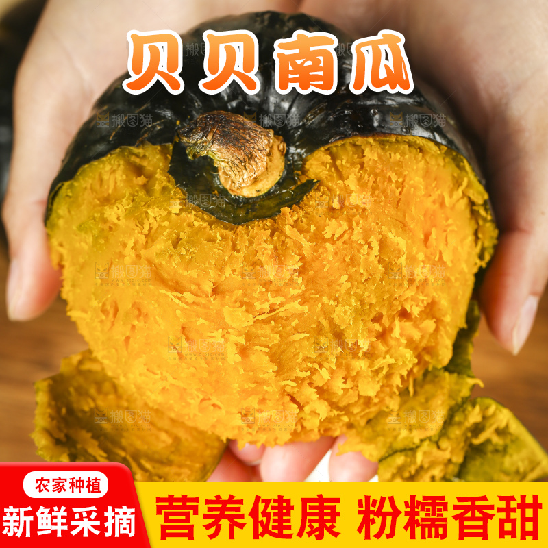 手里拿着贝贝南瓜