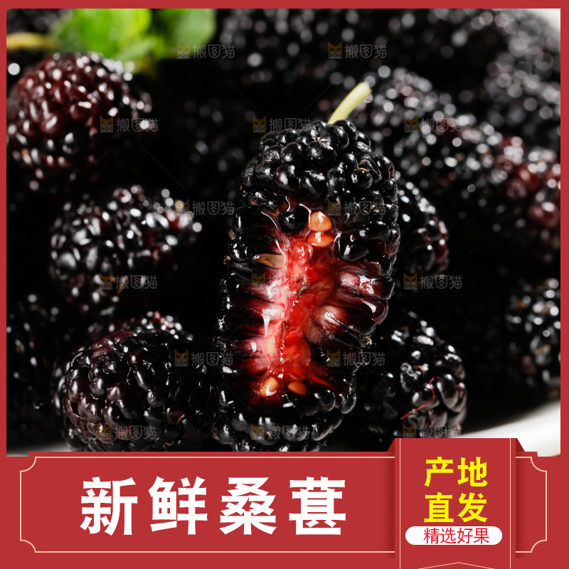 一盘桑葚