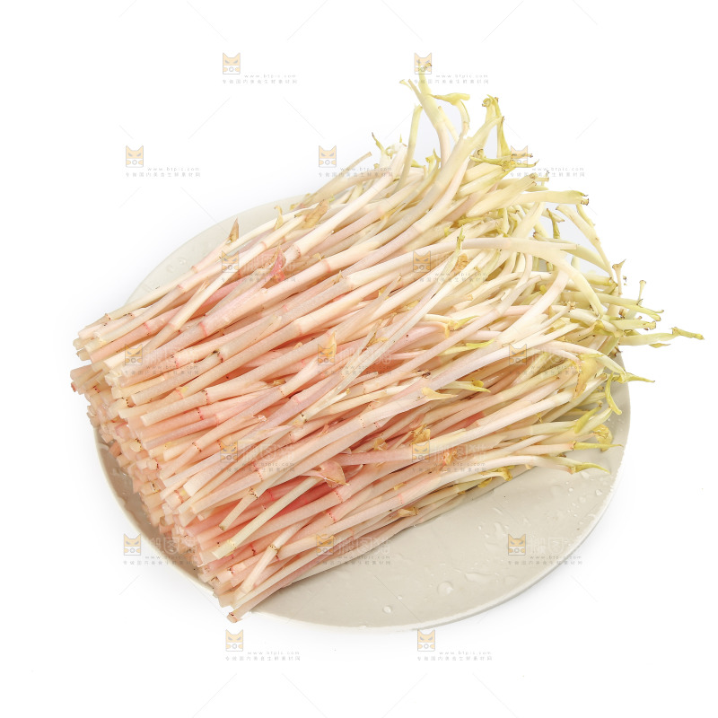 一盘鱼腥草嫩芽