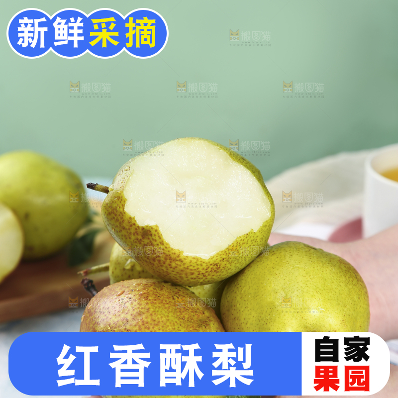 手里捧着陕西红香酥梨