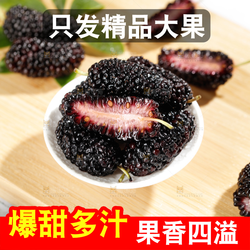 一碟桑葚