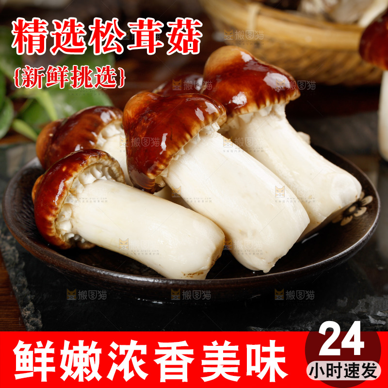 一盘姬松茸