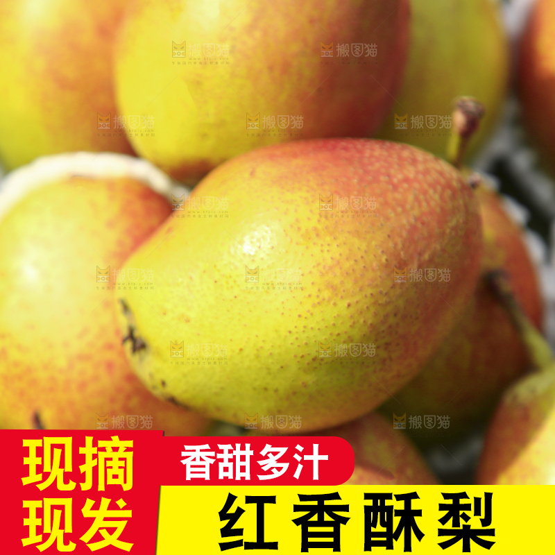 一箱红香酥梨