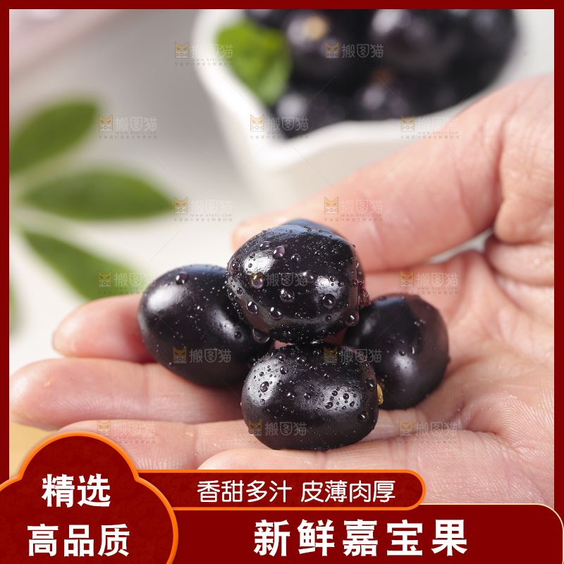 手里拿着树葡萄