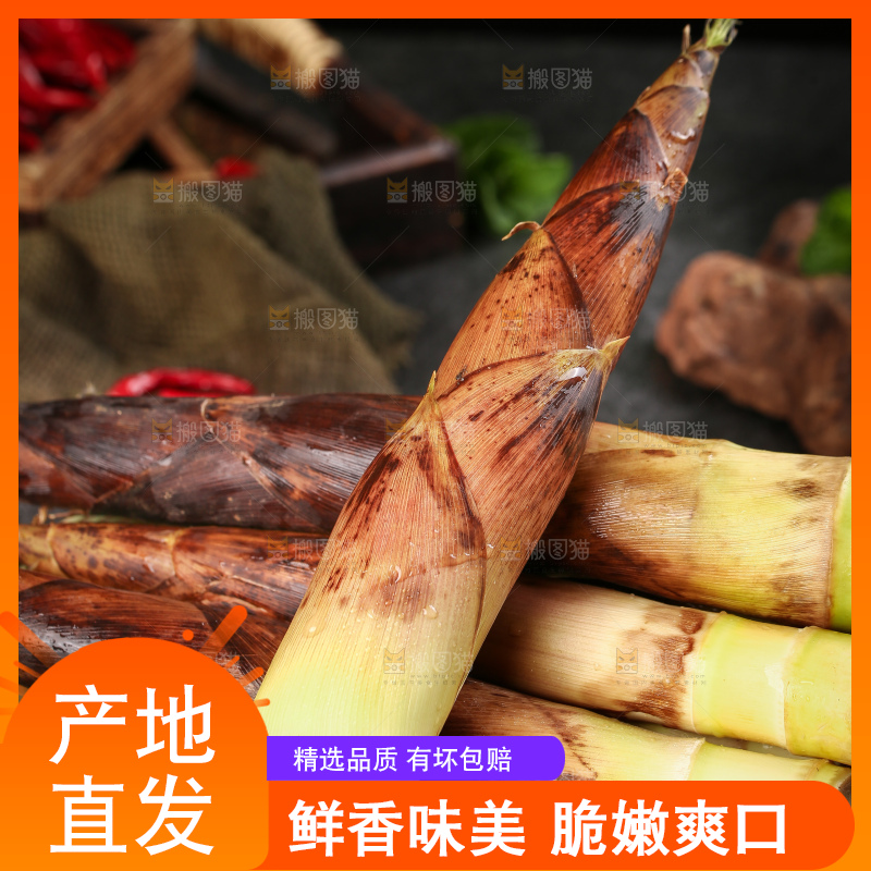一篮春雷笋