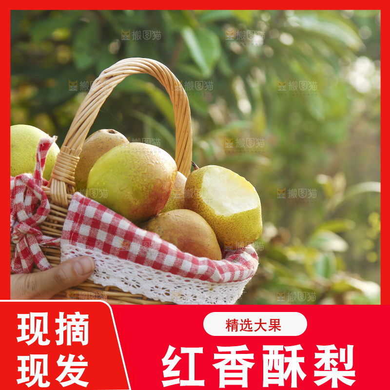 一篮新鲜红香酥梨
