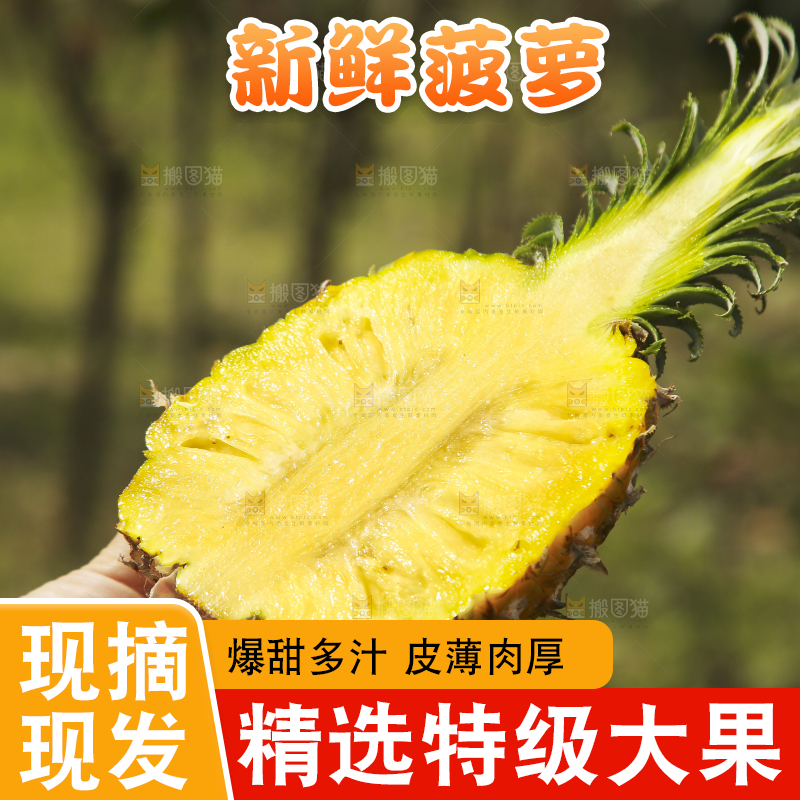 手里拿着切面的菠萝