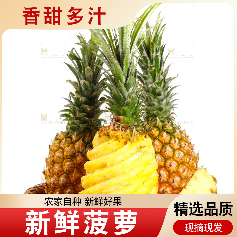 一篮徐闻菠萝