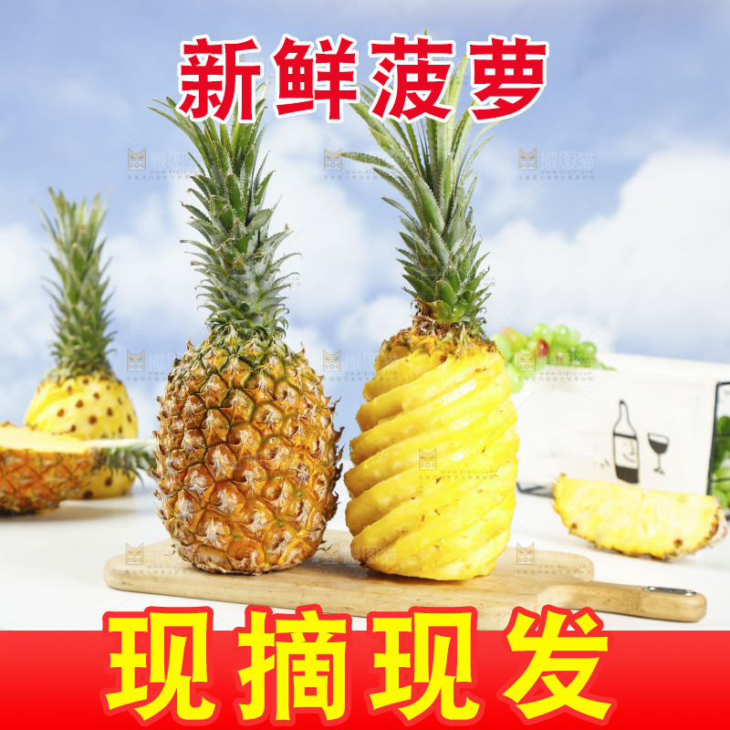 木底上的广东徐闻菠萝