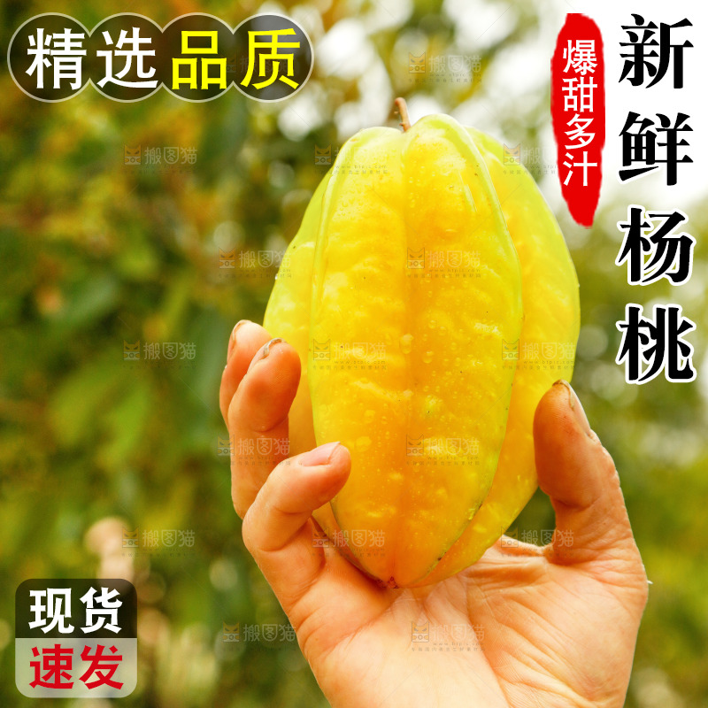 手里拿着杨桃