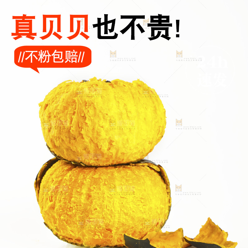 白底上的贝贝小南瓜