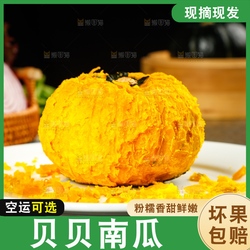 盘子里的贝贝小南瓜