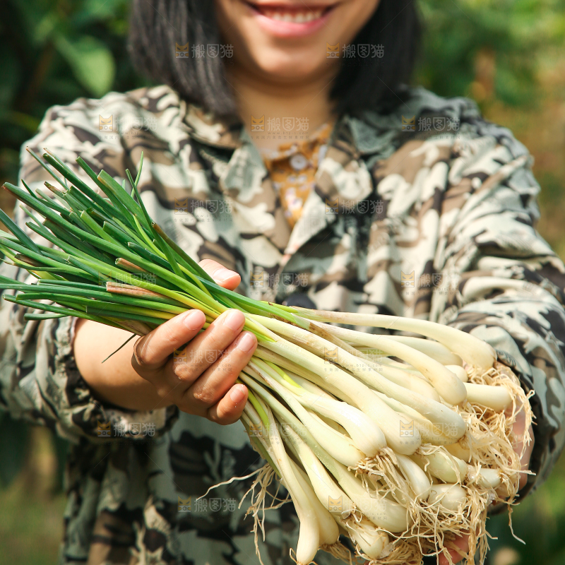 手里拿着荞头